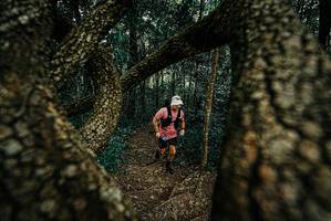 BIB: 
                            <button type="button" onclick="openModal(25668471)" class="btn btn-primary btn-sm float-right btn-popup" data-toggle="modal" data-target=".modal-high-quality">
                        <i class="fas fa-shopping-cart"></i> Add to Cart
                    </button>
                                            <button type="button" onclick="isThisMe(25668471, true)" class="btn btn-success btn-sm float-right btn-popup btn-isme hidden" data-toggle="tooltip" data-placement="bottom" title="นี่คือรูปของคุณใช่ไหม คลิกที่นี่เพื่อเอาเข้าอัลบั้ม">
                        <i class="fas fa-plus"></i> Add to album
                    </button>
                    <button type="button" onclick="isThisMe(25668471, false)" class="btn btn-warning btn-sm float-right btn-popup btn-isnotme hidden">
                        <i class="fas fa-ban"></i> Remove from album
                    </button>